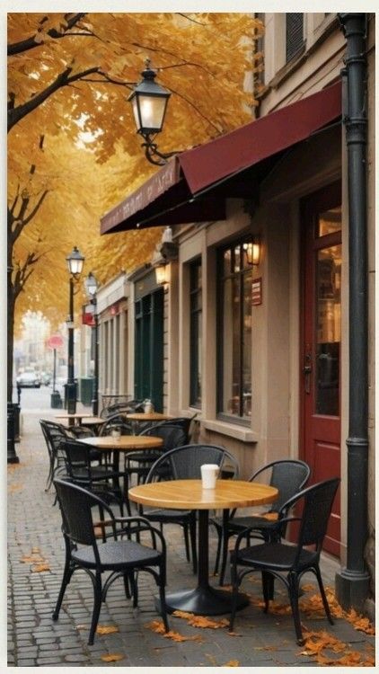 Warm neutral color scheme café design